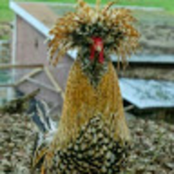 Meet your Posher, Agata - Picture 1 of 1